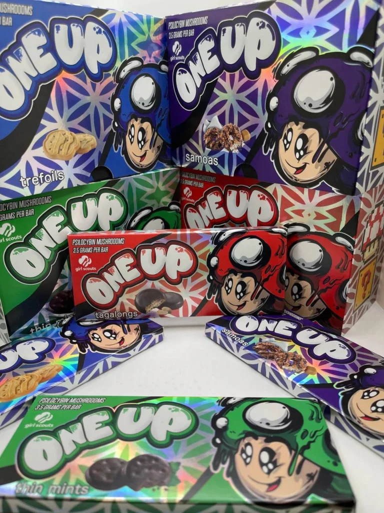 WHAT ARE MUSHROOM CHOCOLATE BARS